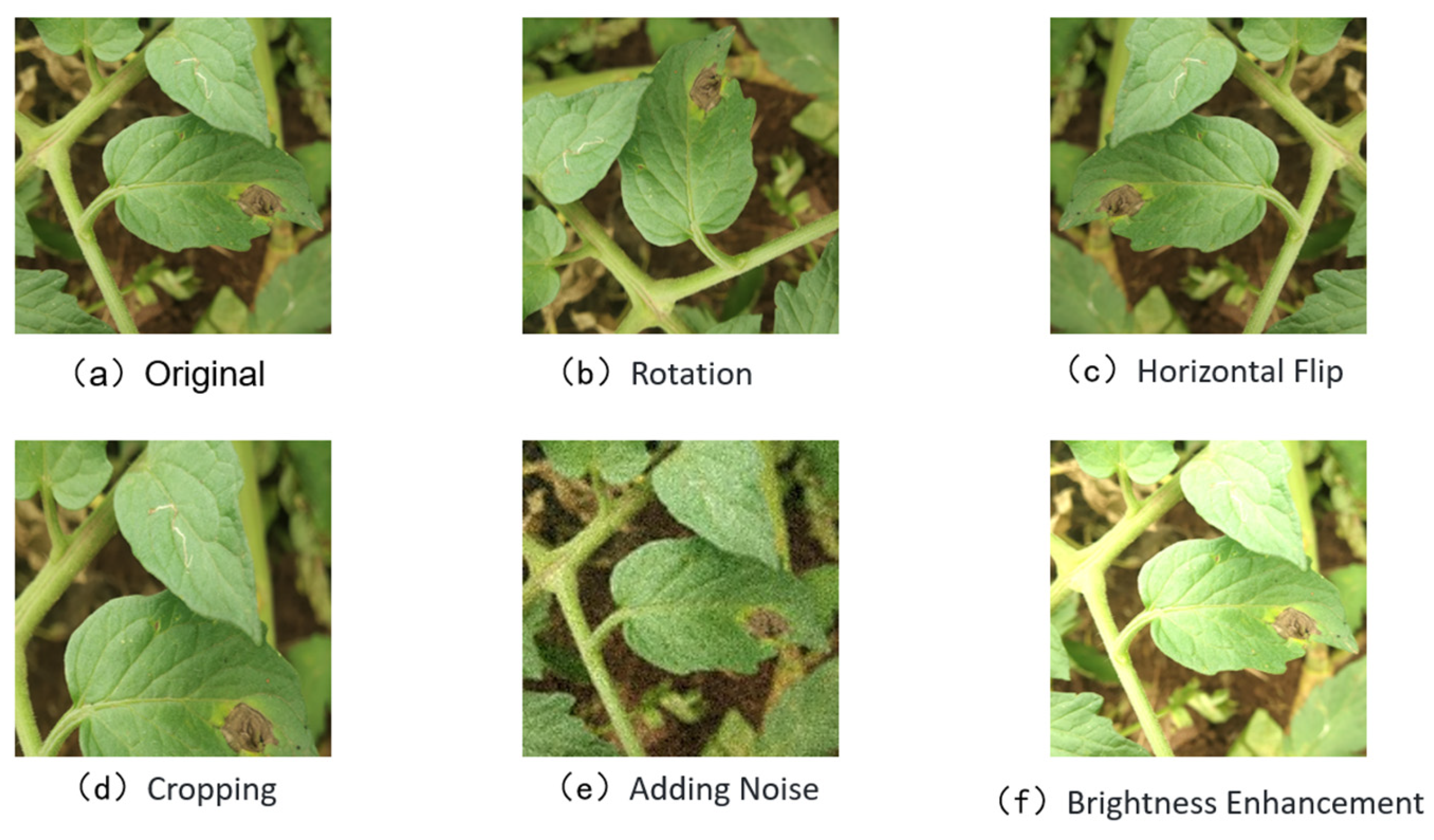Sensors 25 02882 g004