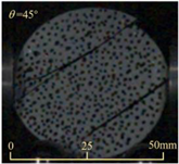 Sensors 25 02905 i013