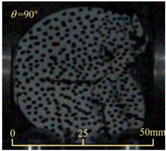 Sensors 25 02905 i027