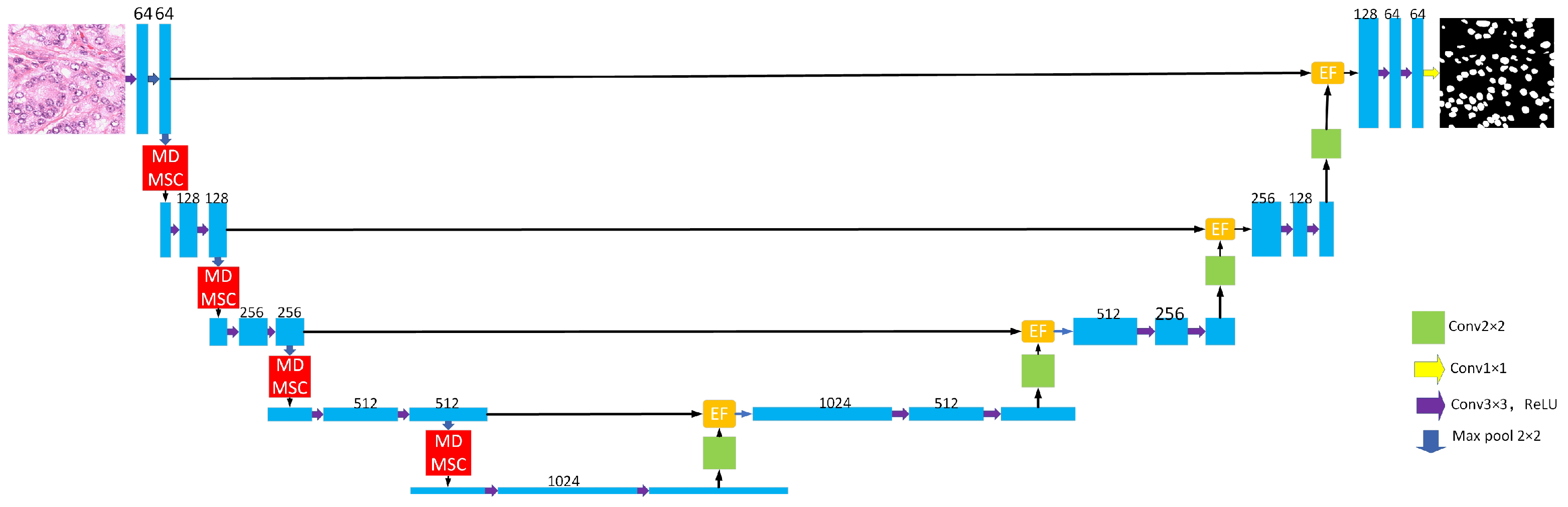 Sensors 25 02917 g001