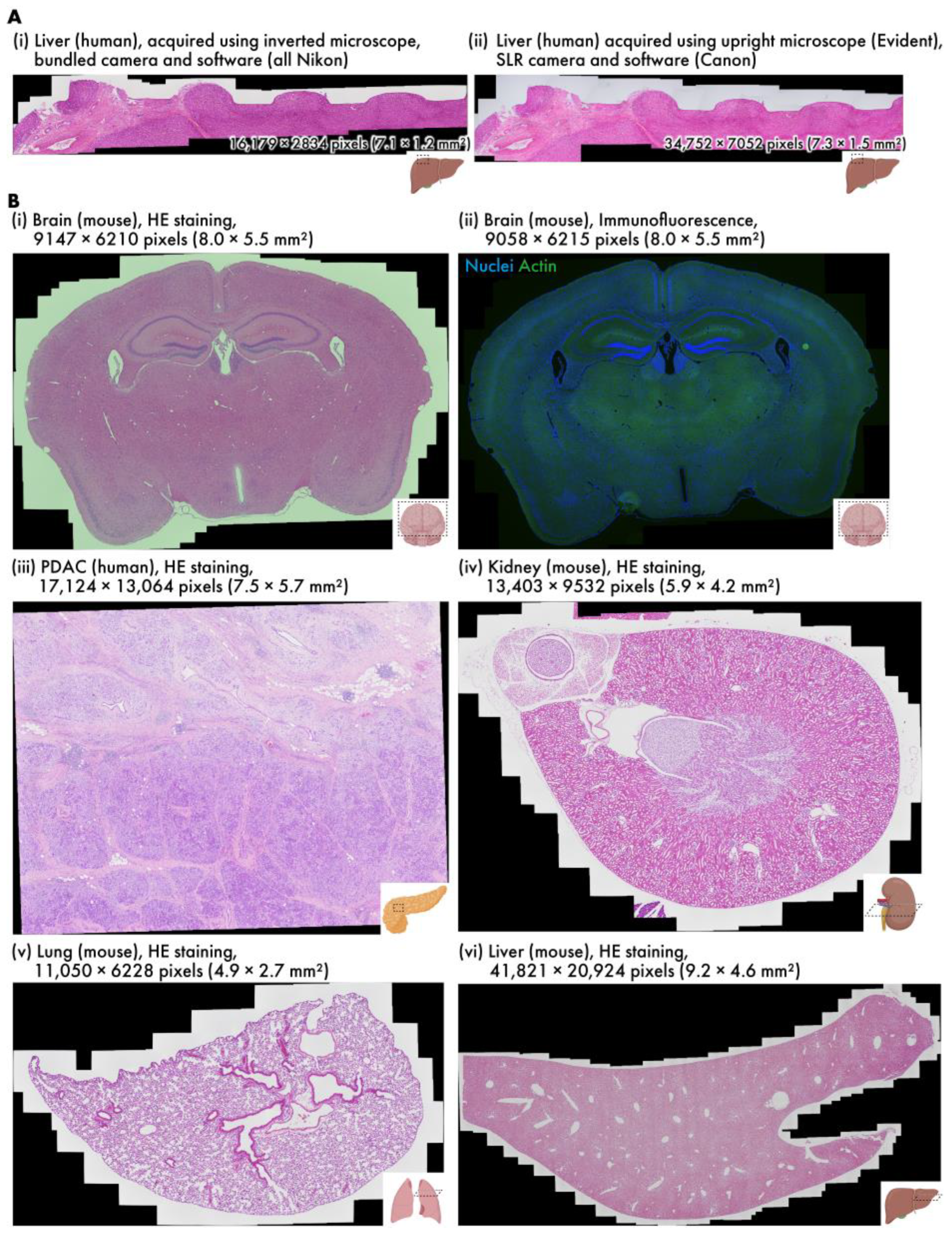 Sensors 25 02968 g003