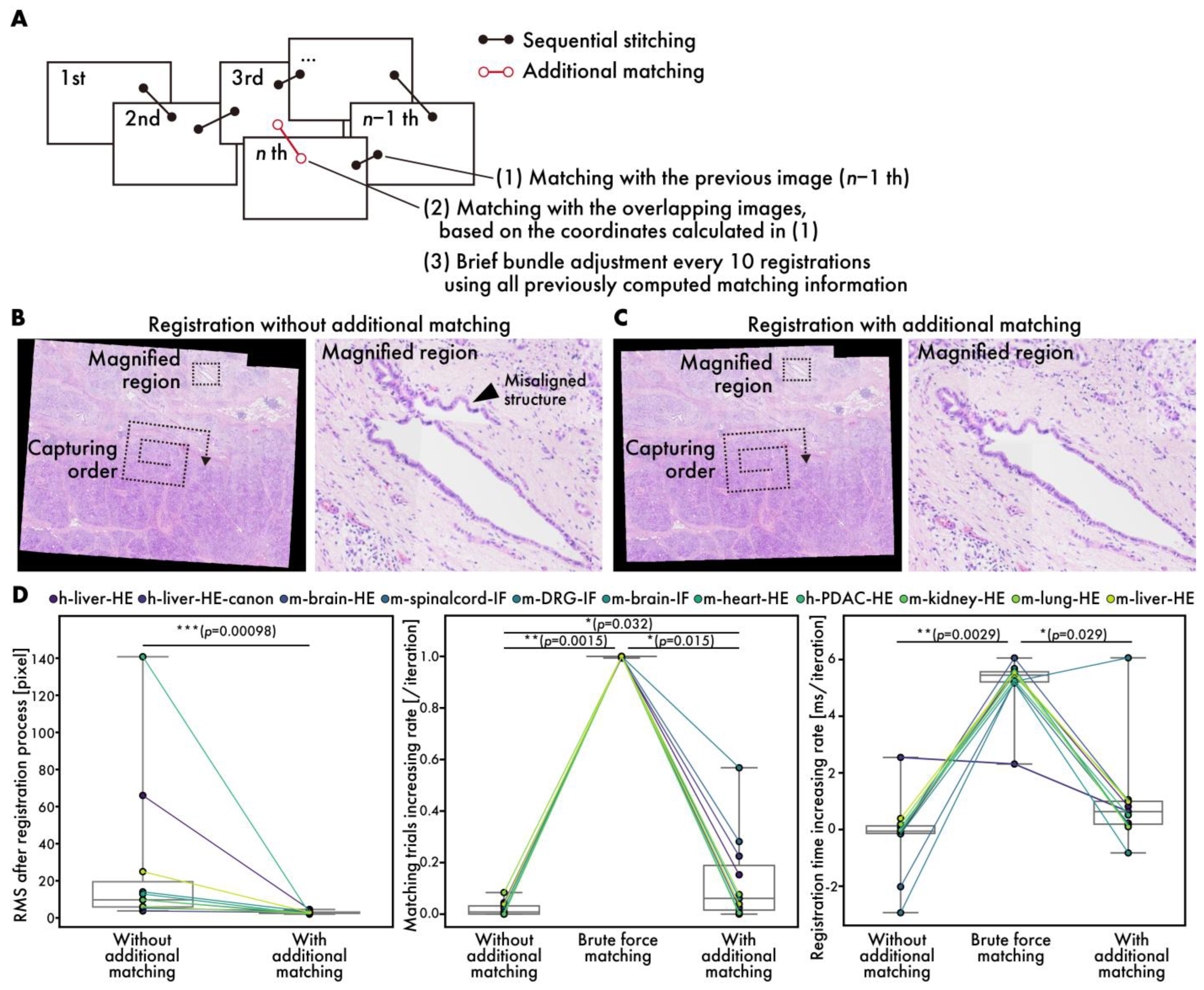 Sensors 25 02968 g005