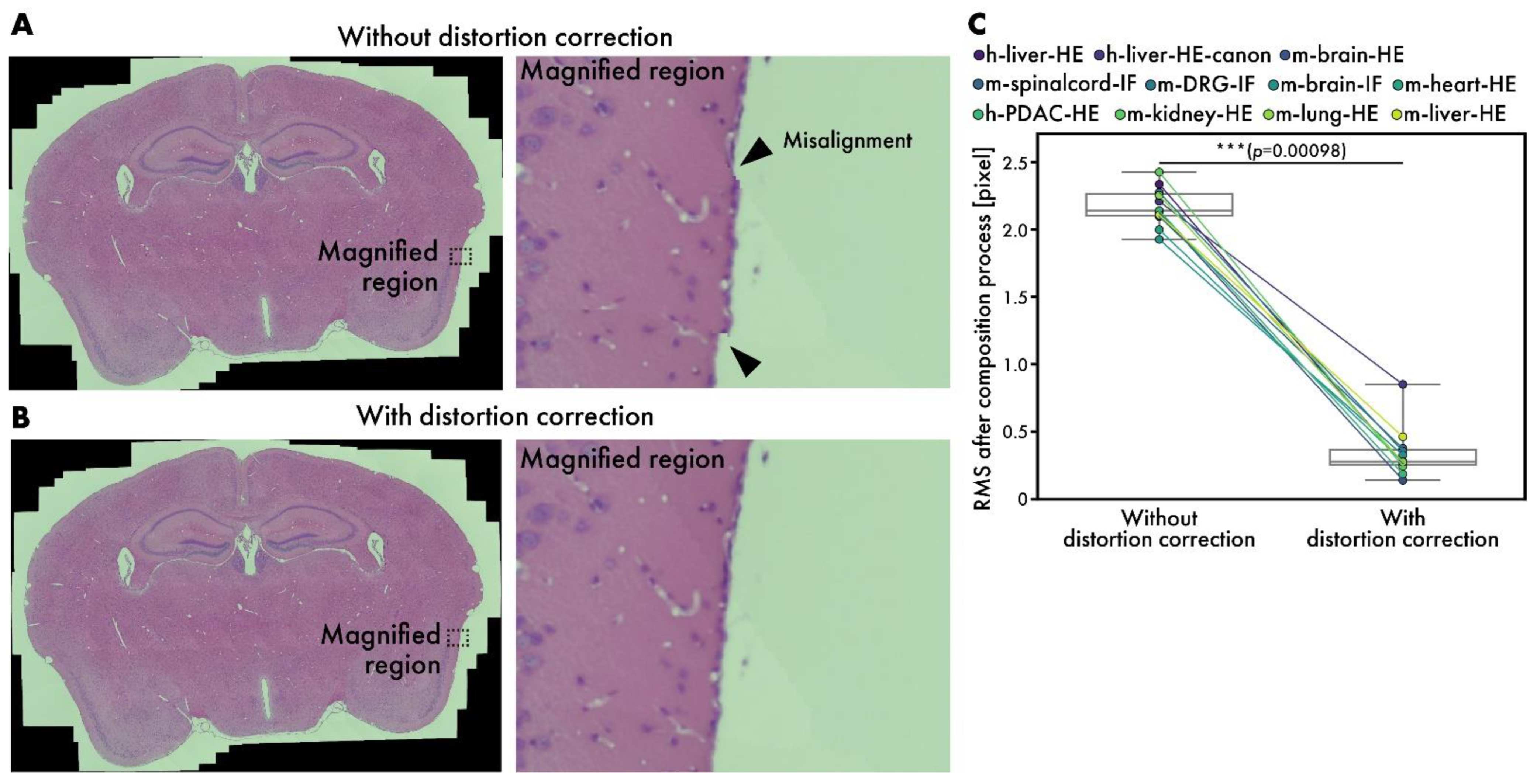 Sensors 25 02968 g006