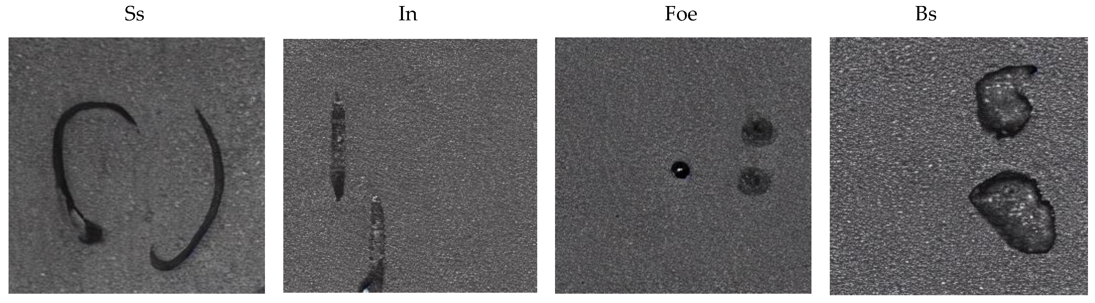 Sensors 25 03038 g005