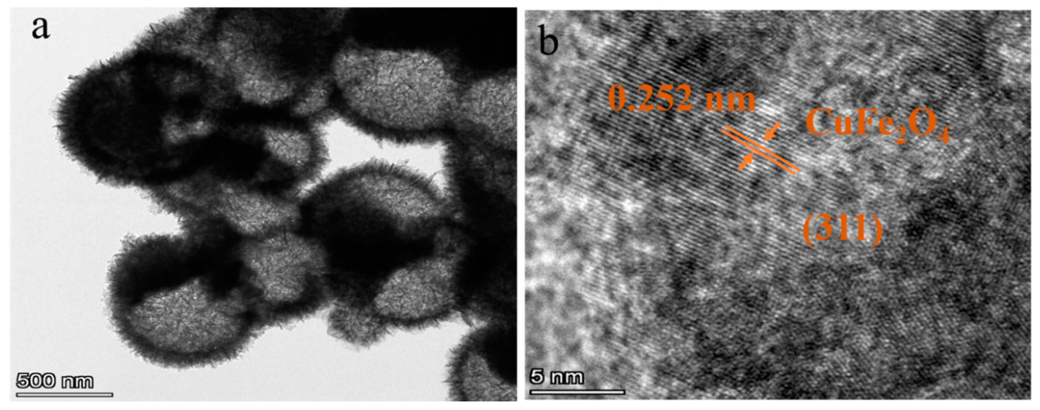 Sensors 25 03042 g007