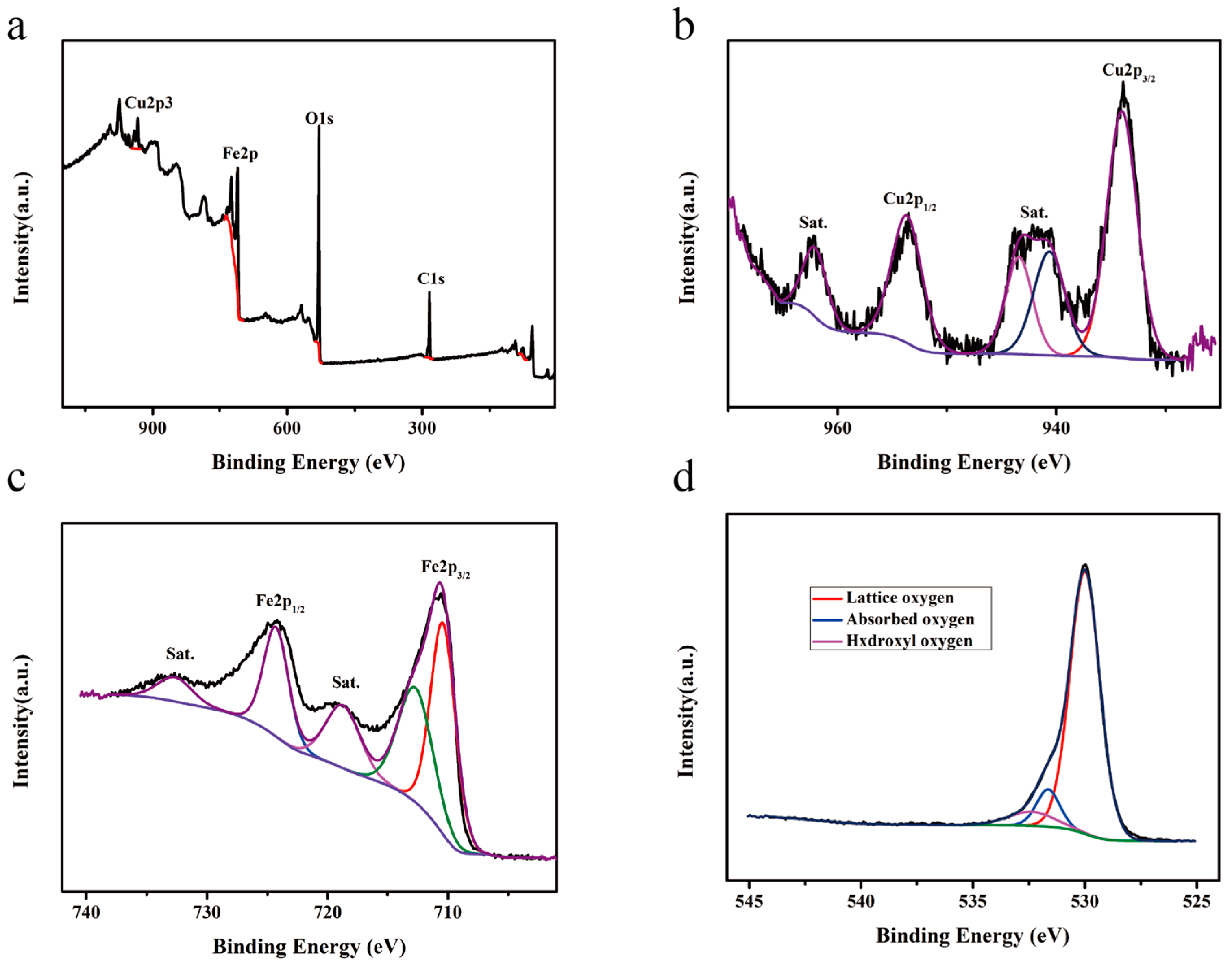 Sensors 25 03042 g010