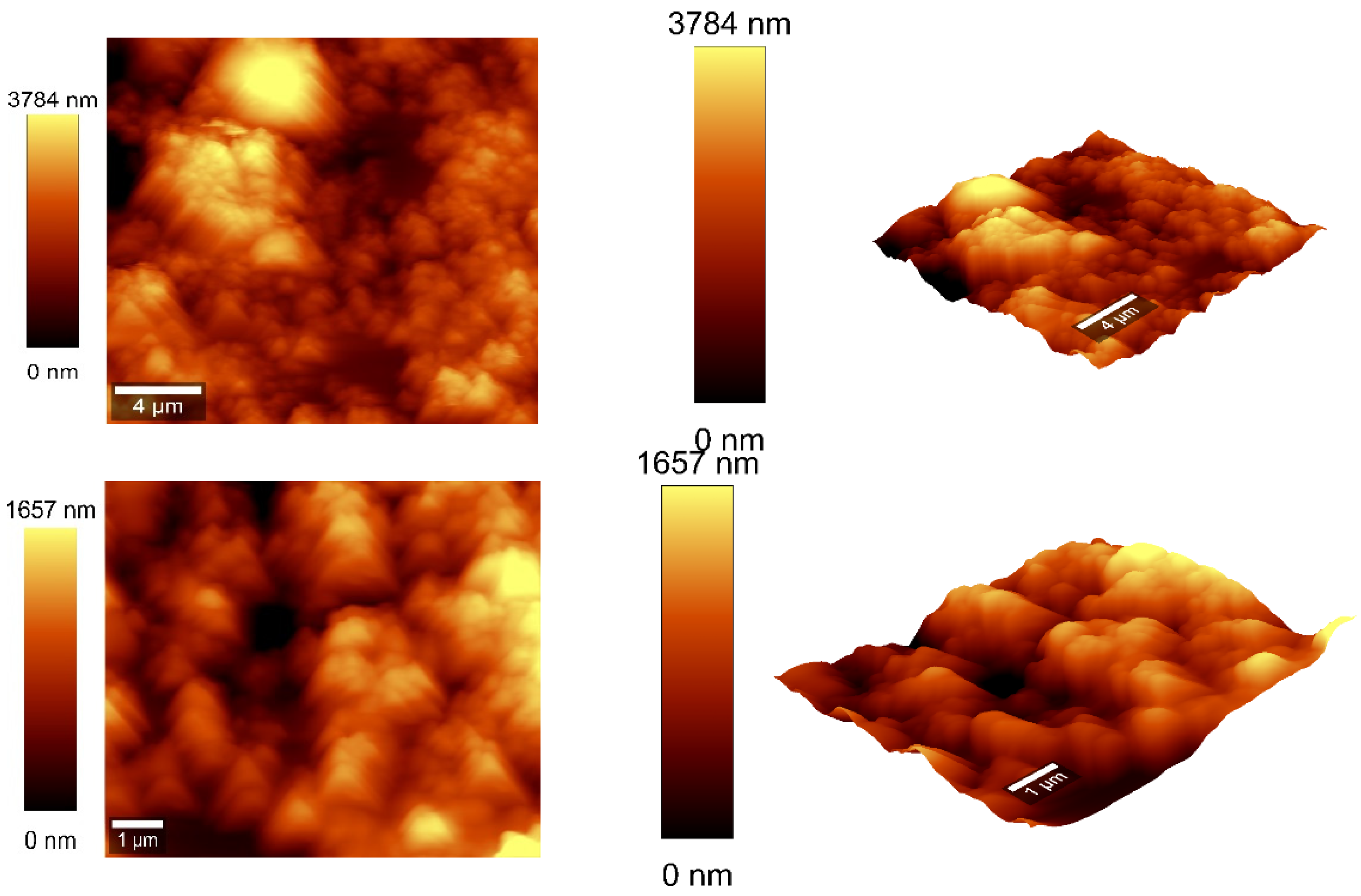 Sensors 25 03047 g008