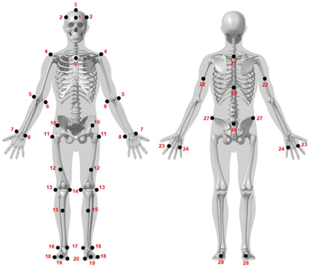 Sensors 25 03104 i001
