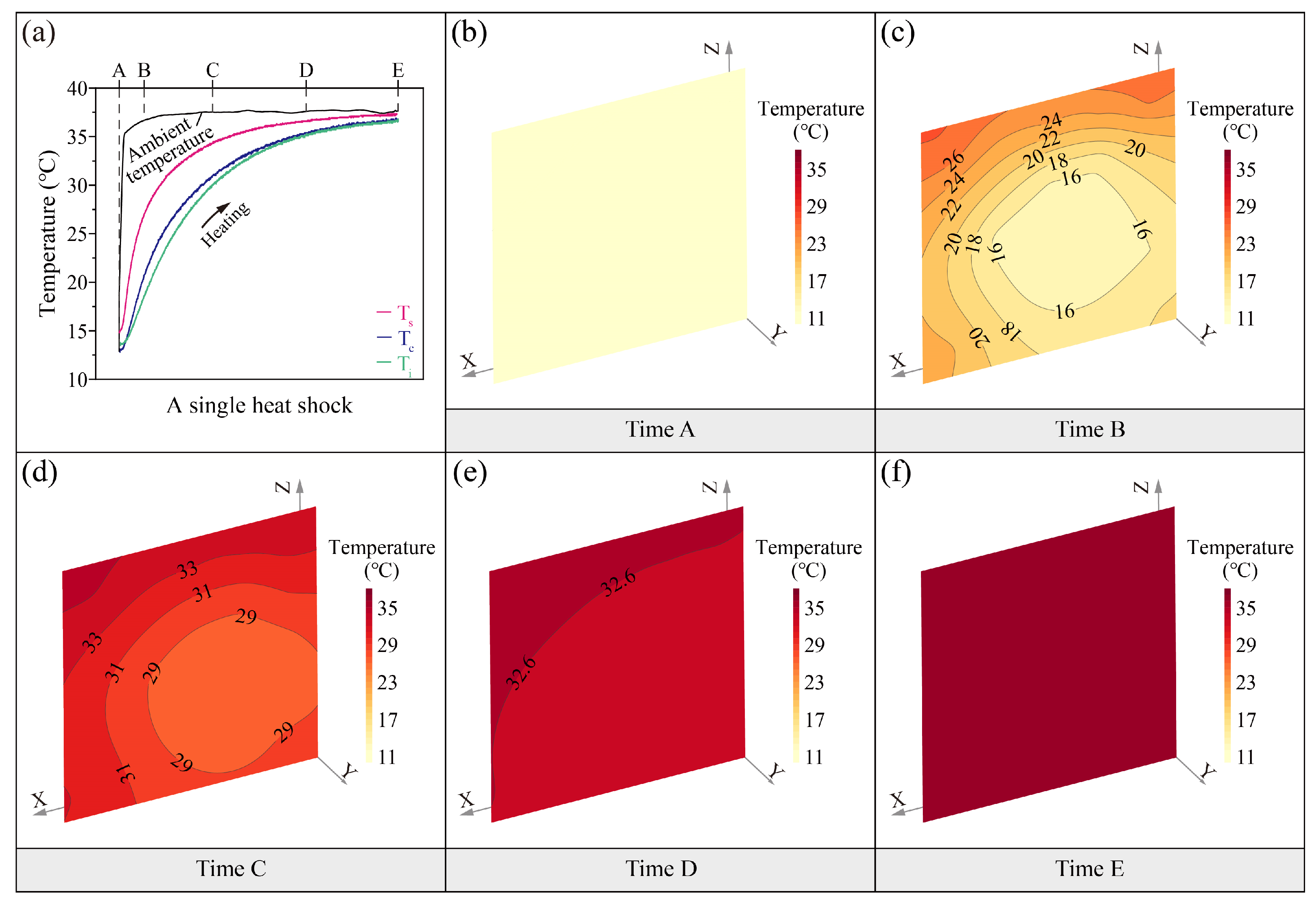 Sensors 25 03115 g002