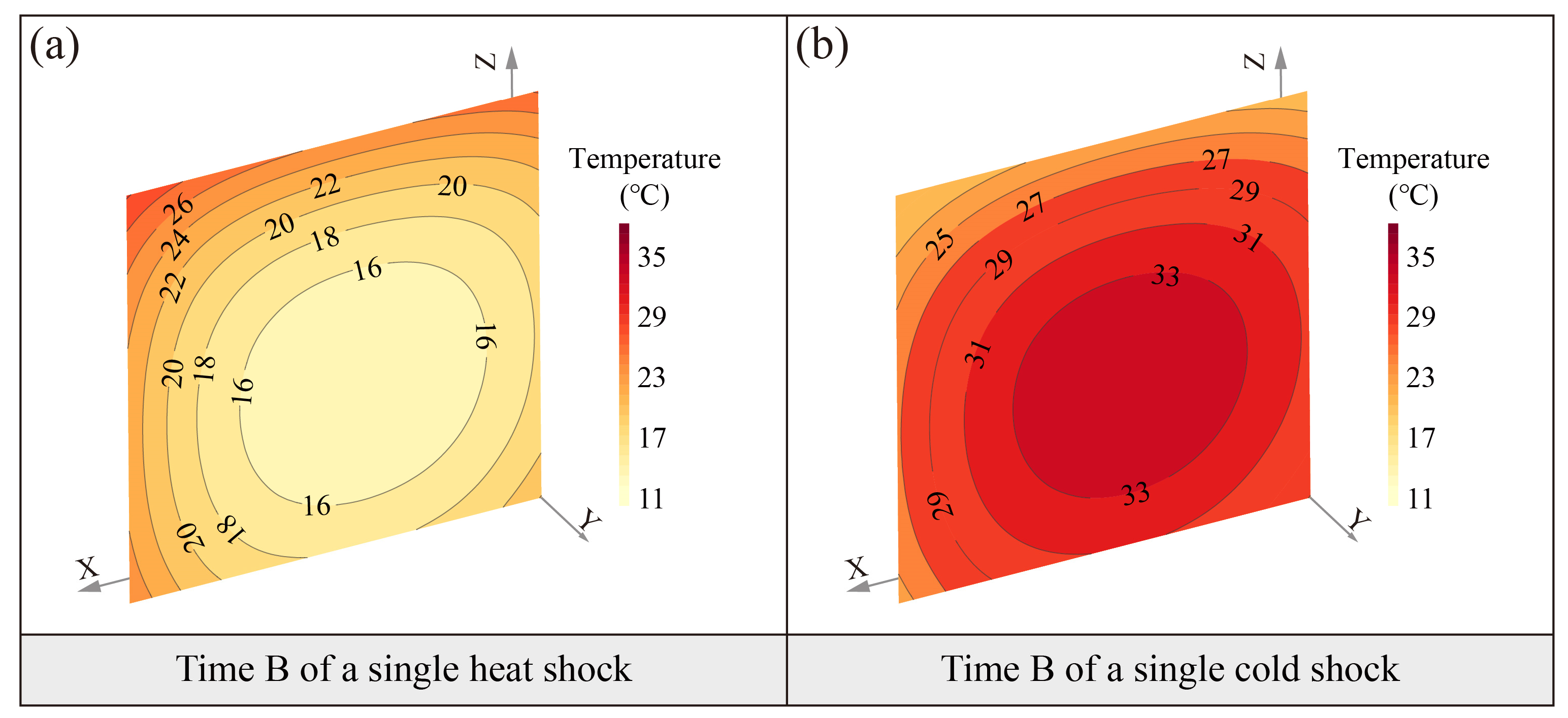 Sensors 25 03115 g005