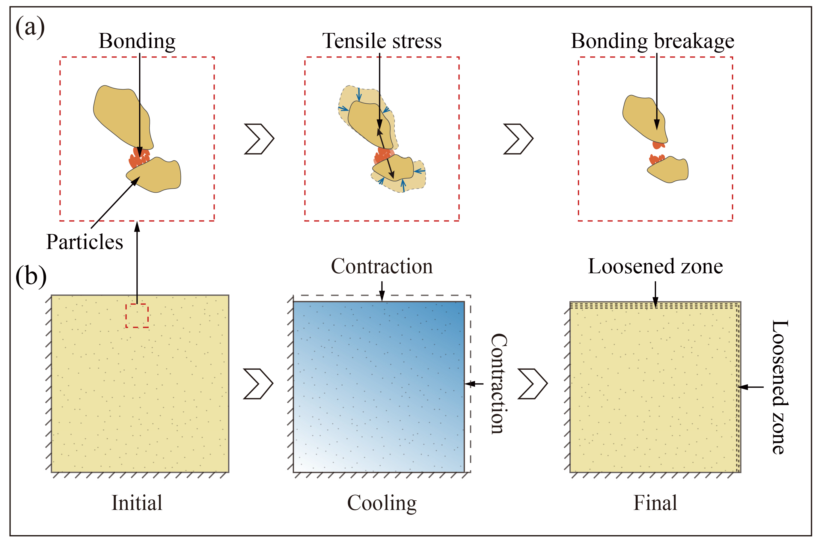 Sensors 25 03115 g011