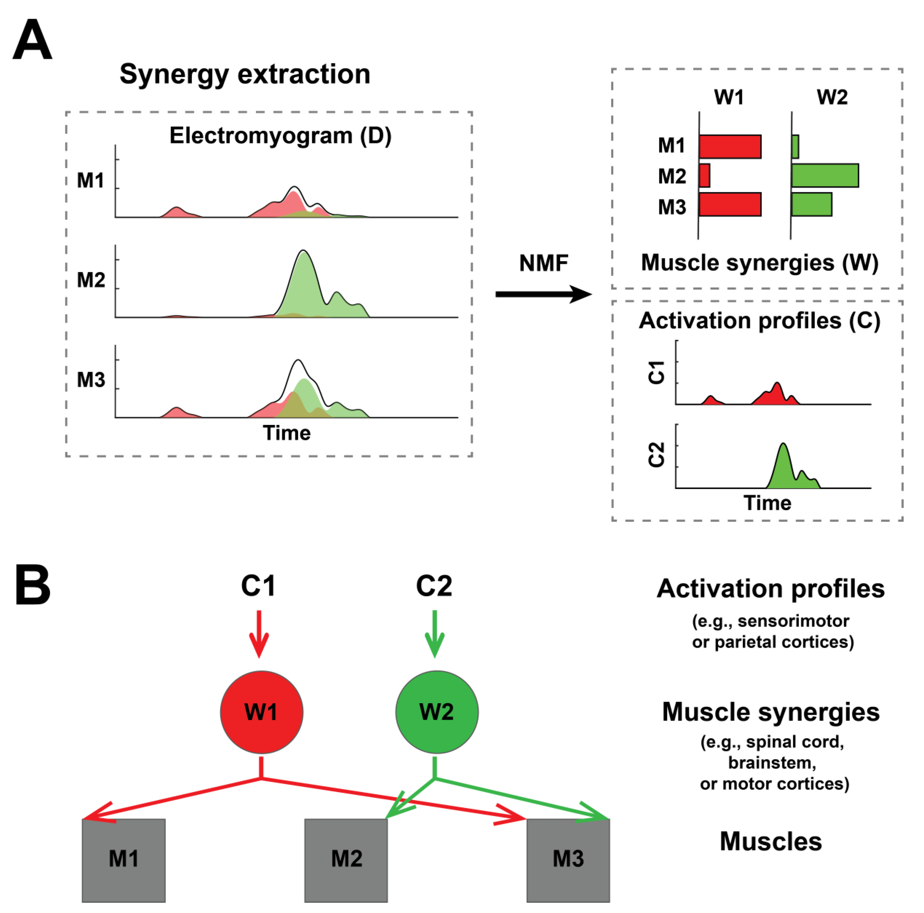 Sensors 25 03170 g001
