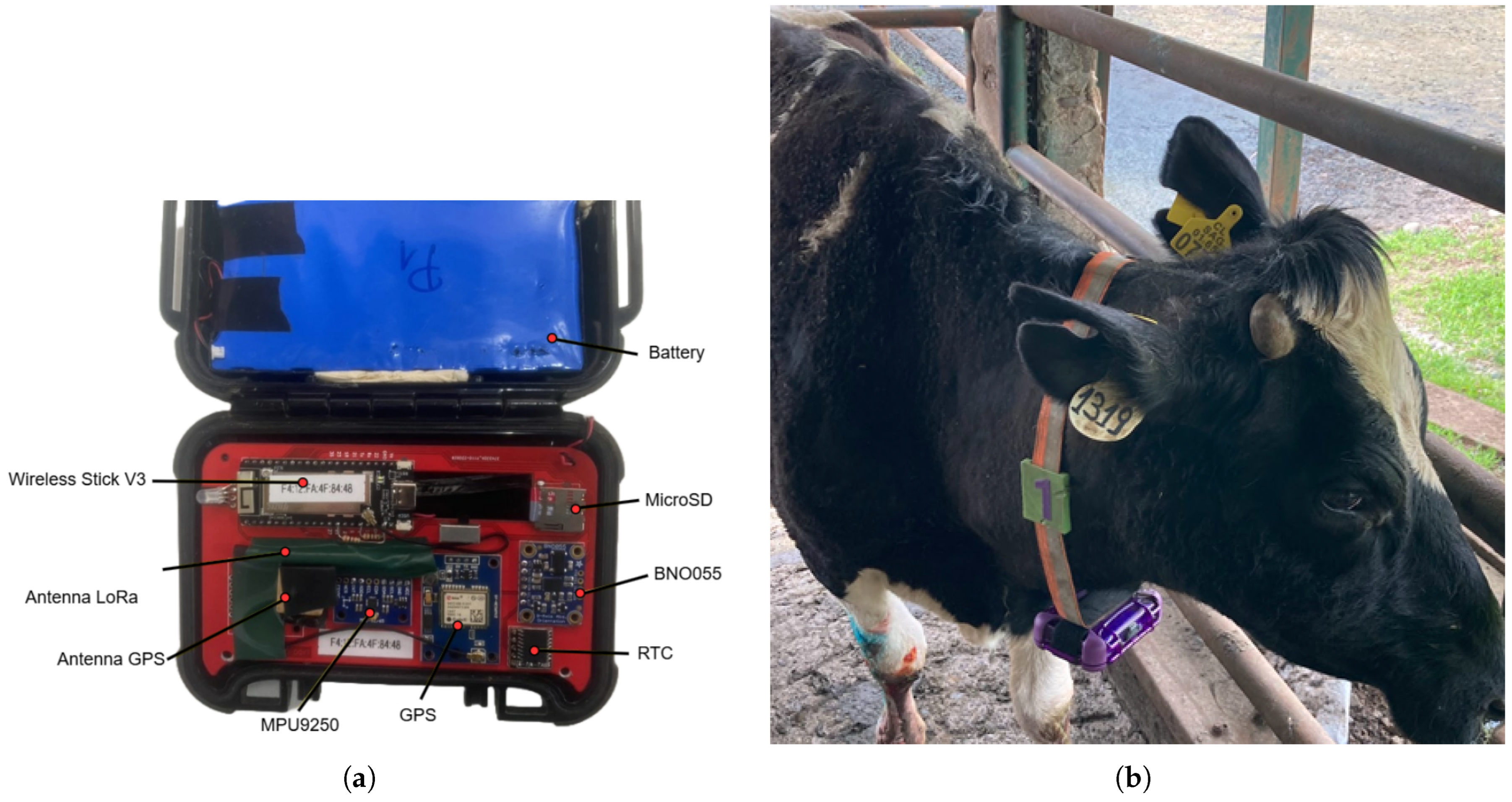 Sensors 25 03233 g003