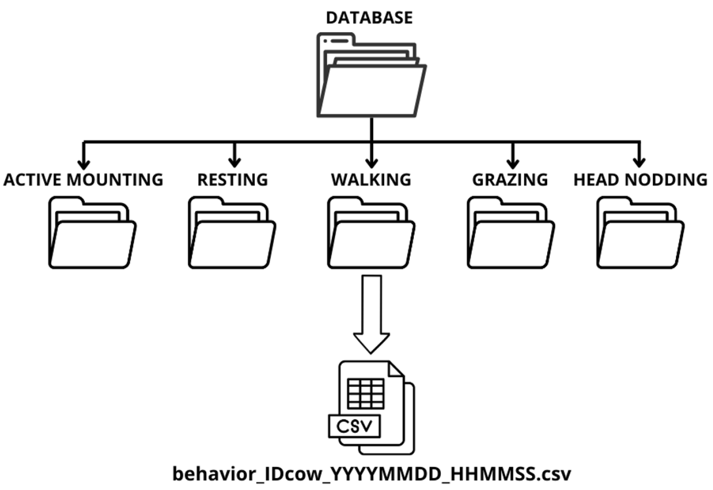 Sensors 25 03233 g005