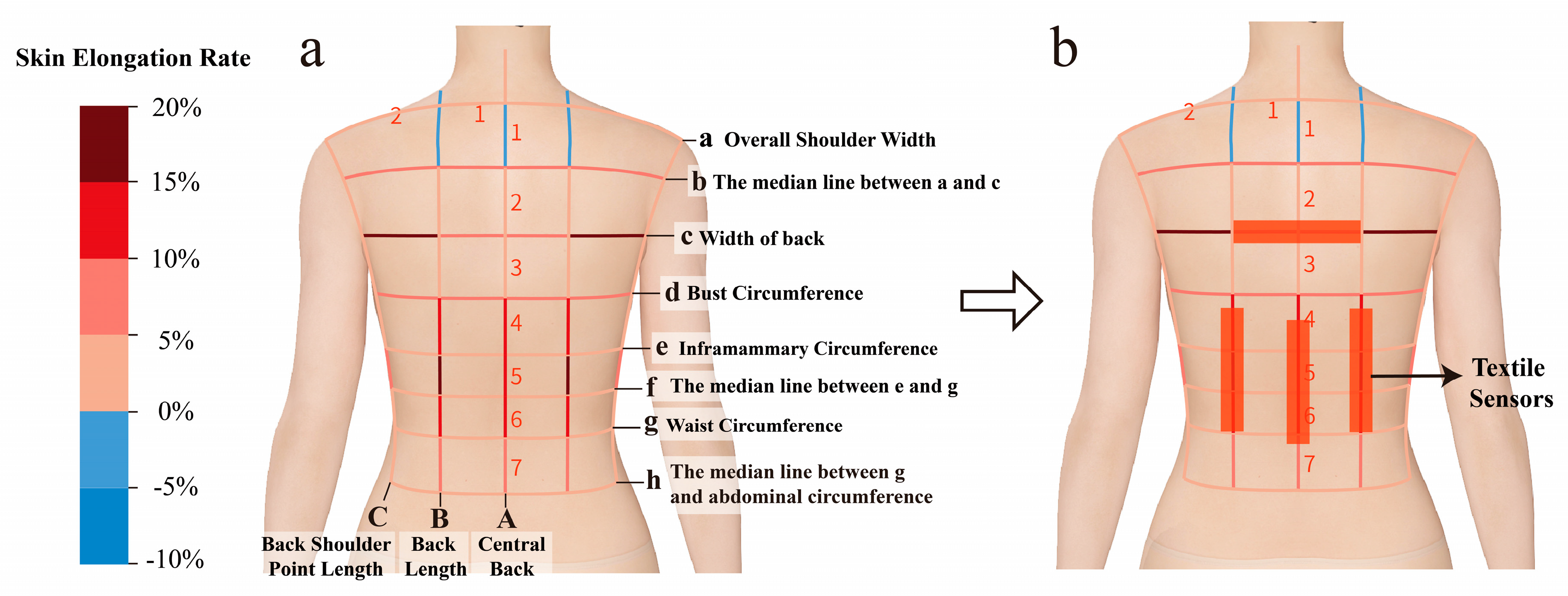 Sensors 25 03359 g002