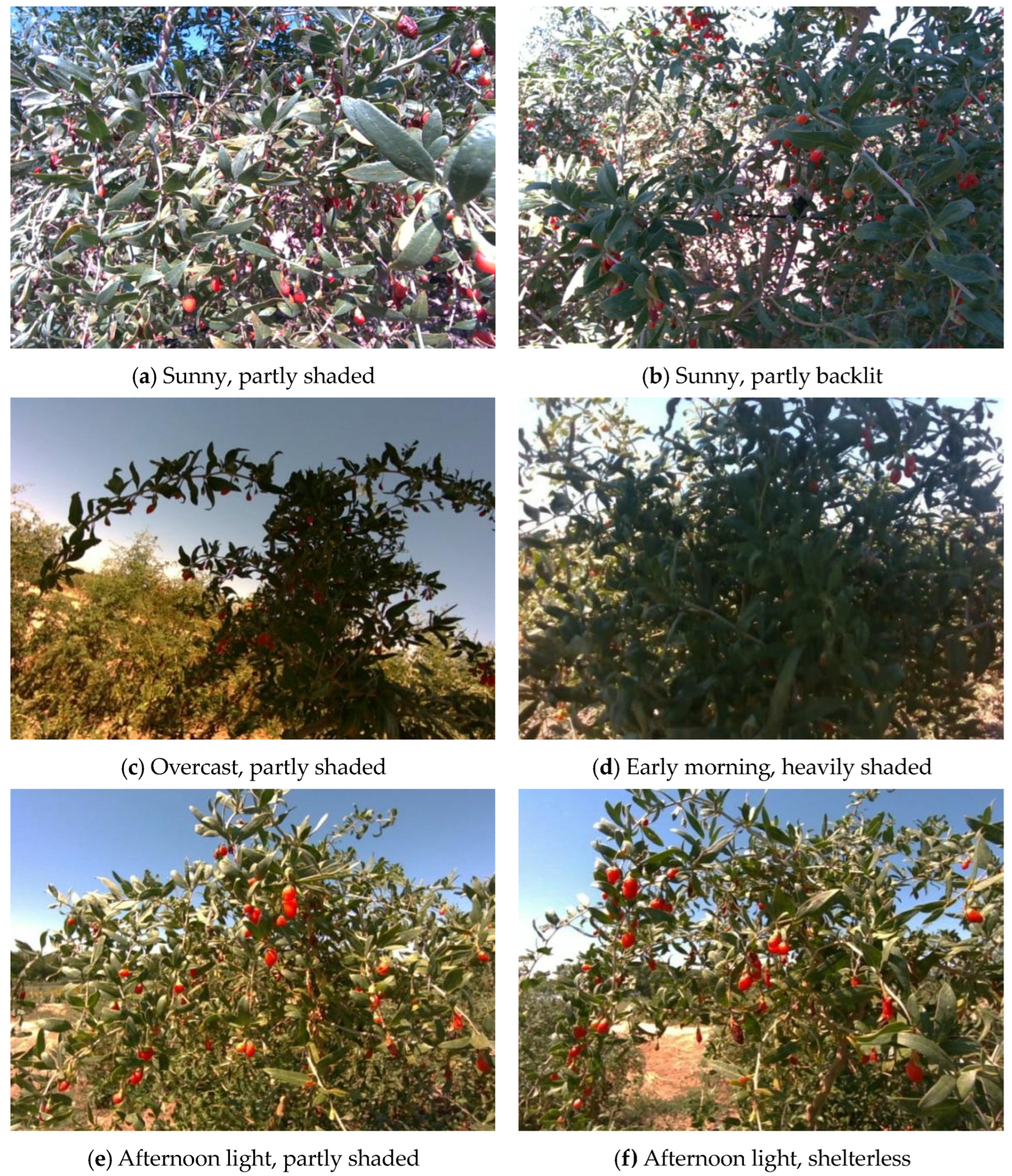 Sensors 25 03365 g001