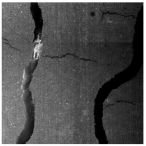 Sensors 25 03373 i005