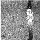 Sensors 25 03373 i008