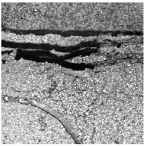 Sensors 25 03373 i012