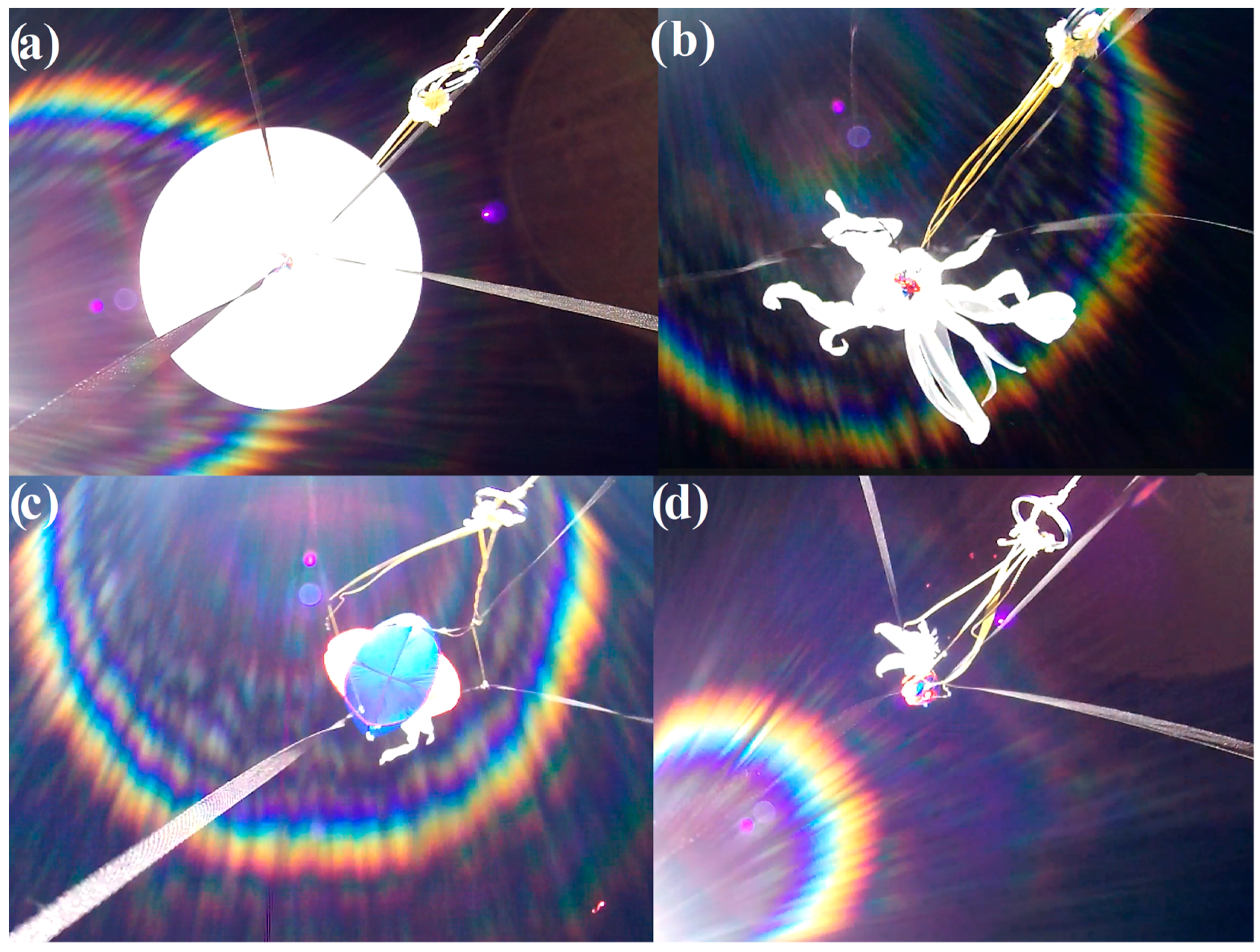 Sensors 25 03375 g002