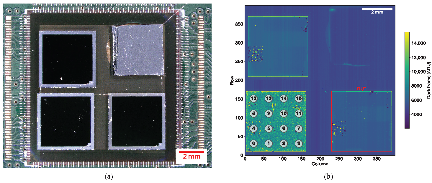 Sensors 25 03383 g006