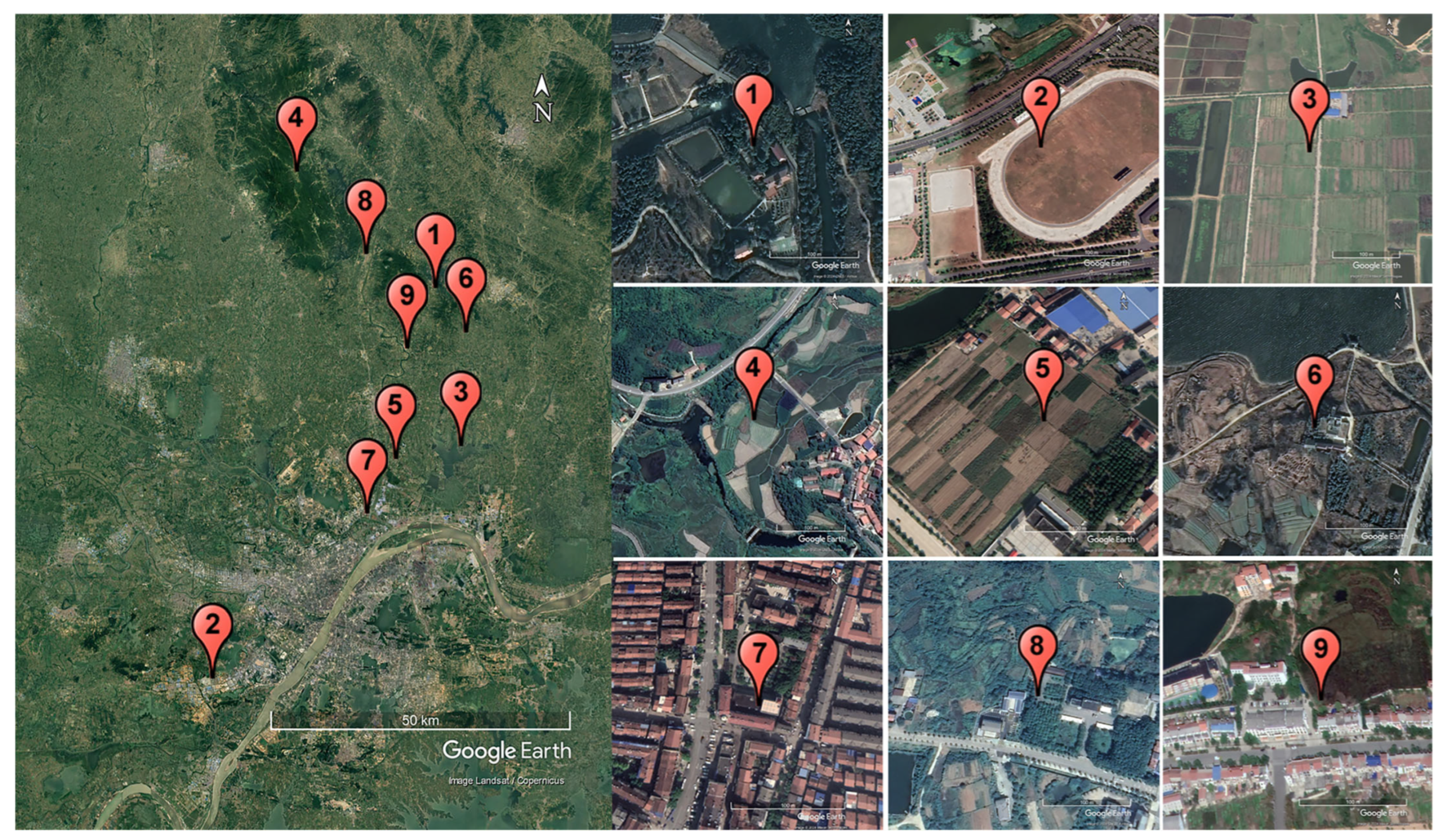 Sensors 25 03398 g002