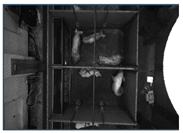 Sensors 25 03406 i003