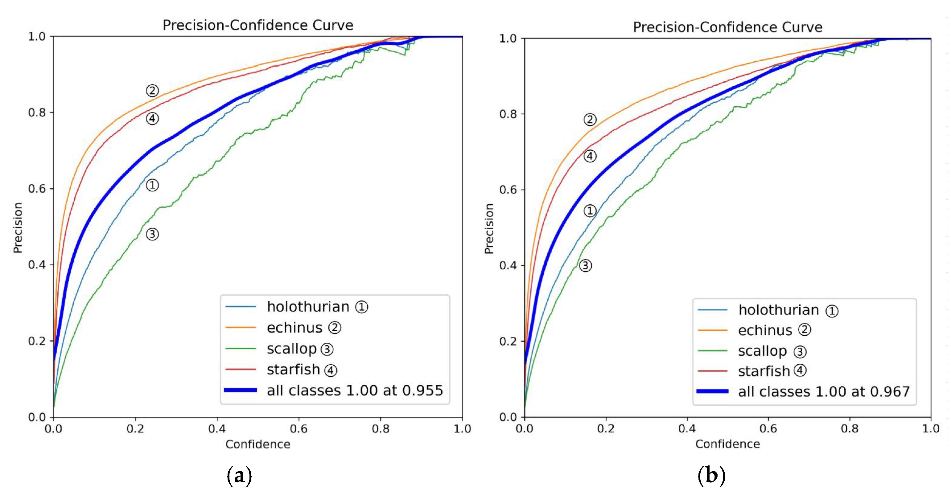 MAS-YOLOv11: An Improved Underwater Object Detection Algorithm Based on ...