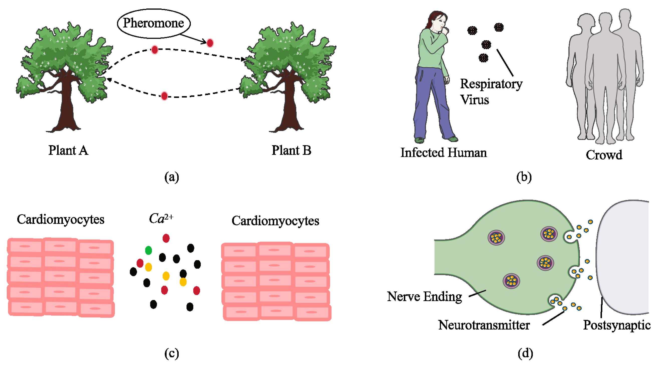 Sensors 25 03472 g002