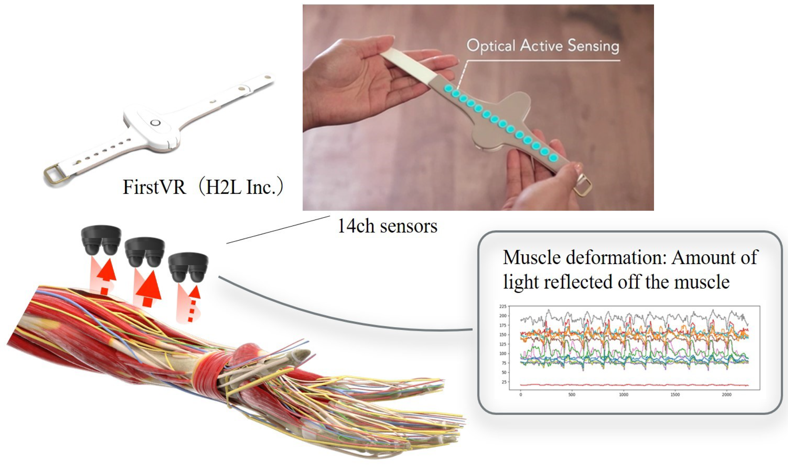 Sensors 25 03507 g003