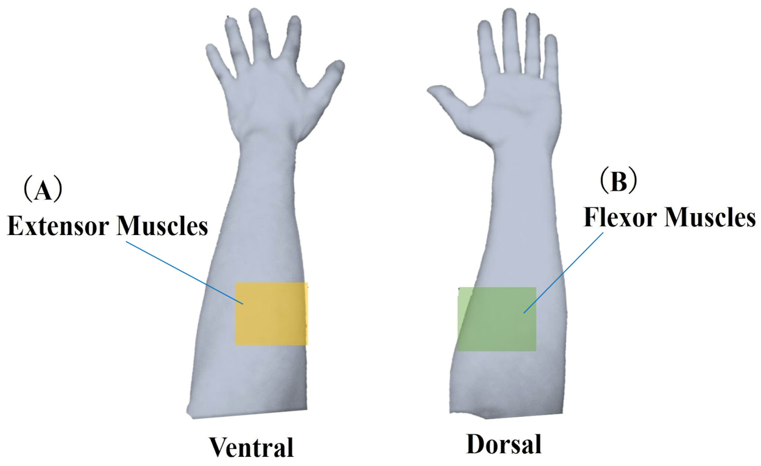 Sensors 25 03507 g004