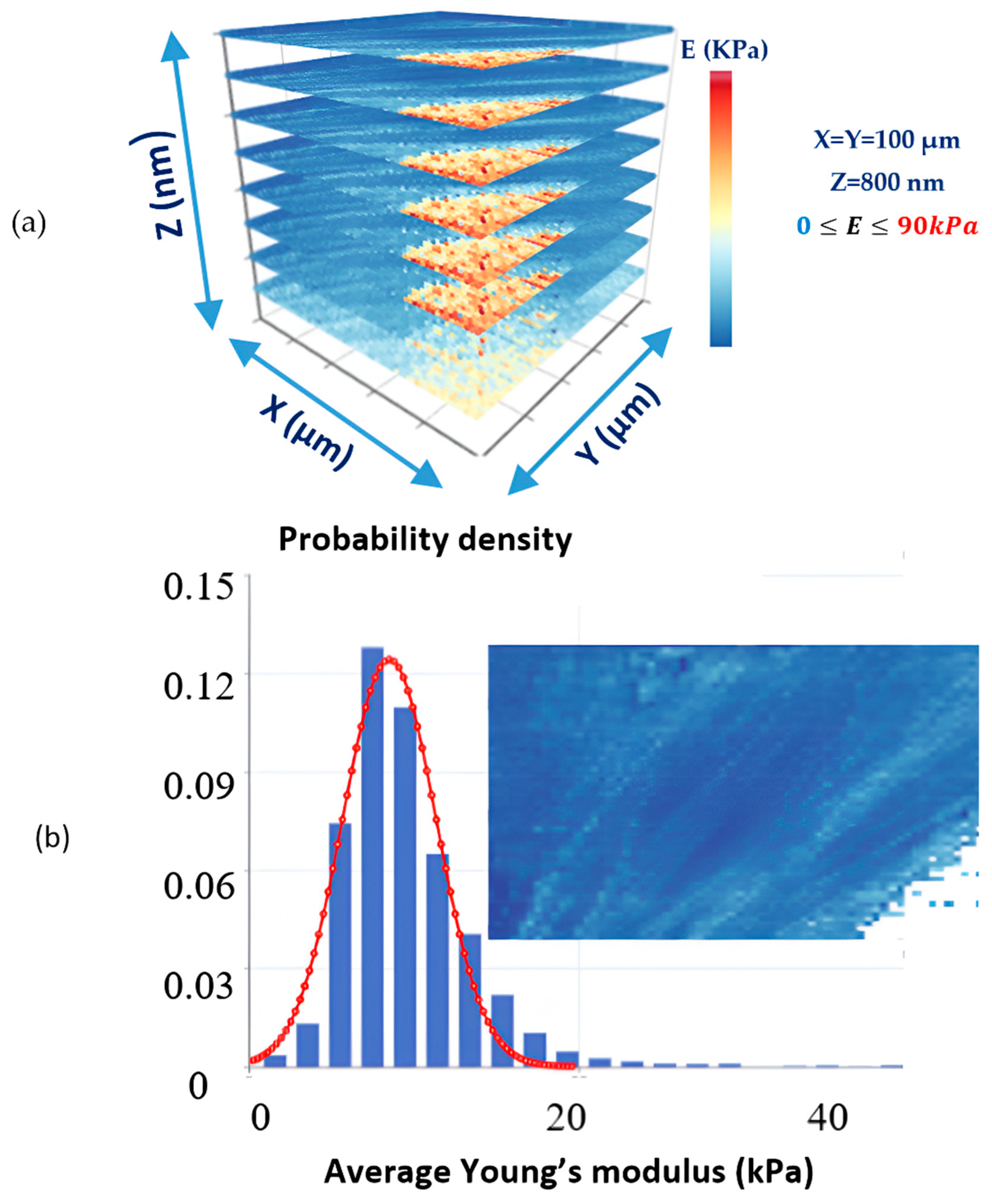 Sensors 25 03510 g005