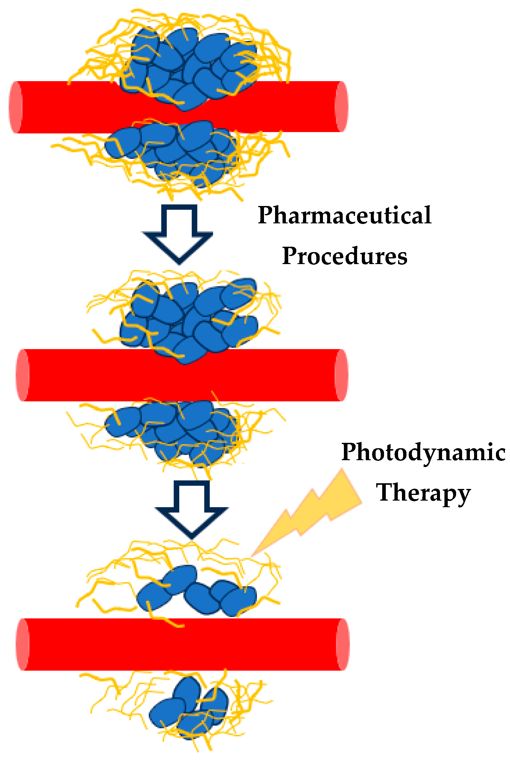 Sensors 25 03510 g008