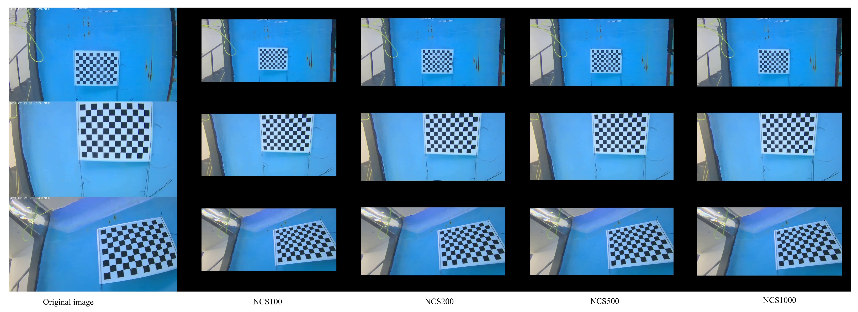 Sensors 25 03521 g006