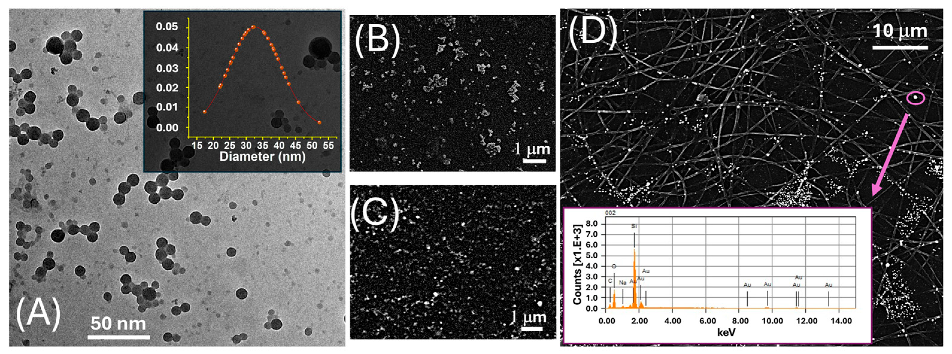 Sensors 25 03536 g001