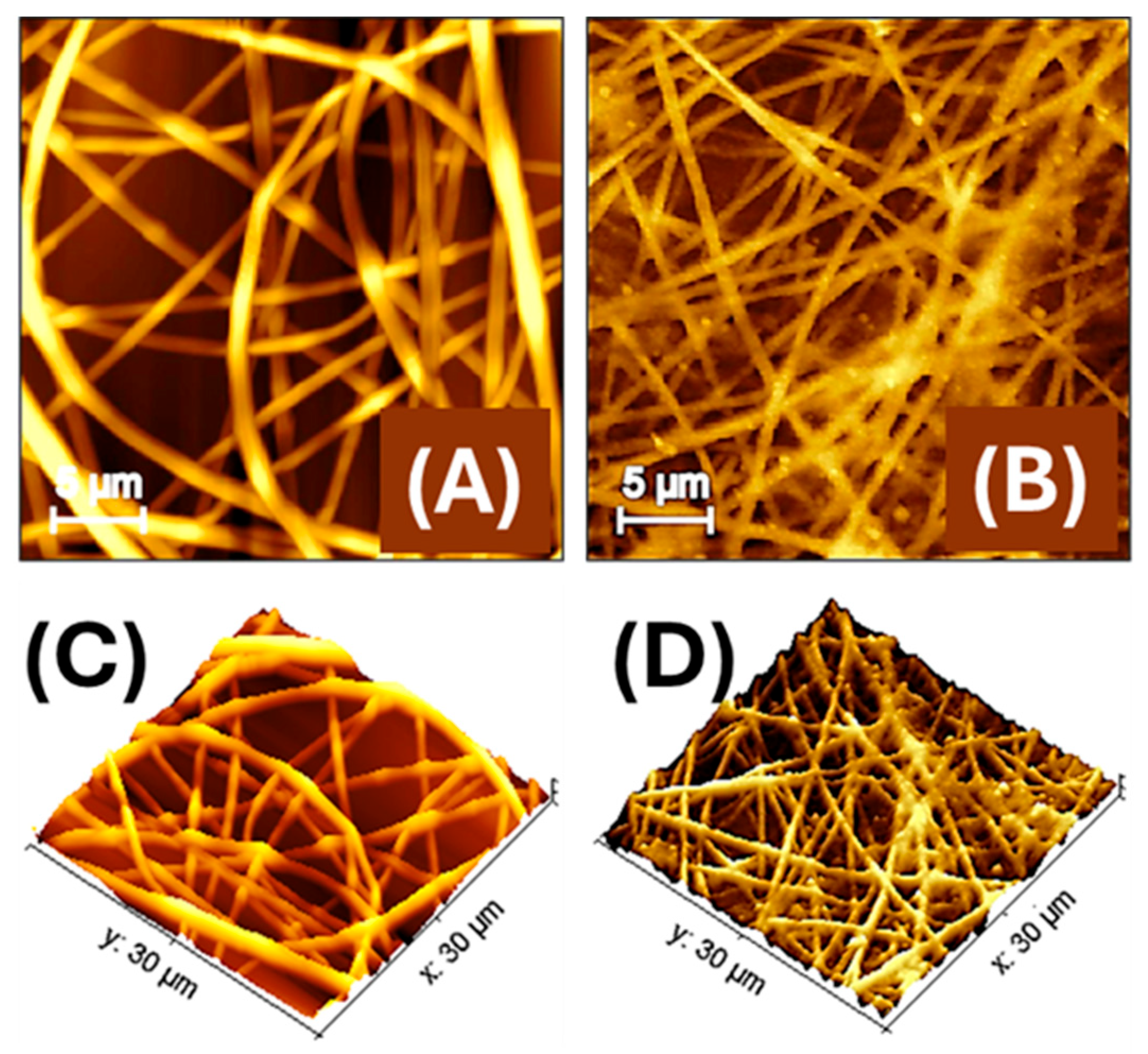 Sensors 25 03536 g004