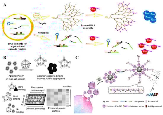 Sensors 25 03587 g005