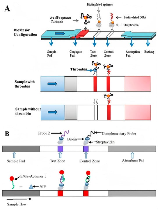 Sensors 25 03587 g006