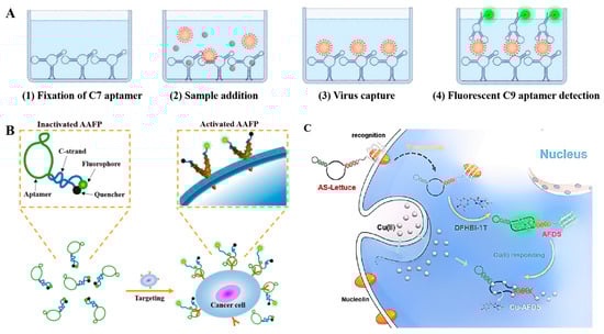 Sensors 25 03587 g008