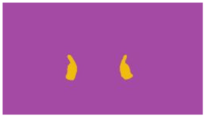 Sensors 25 03652 i081