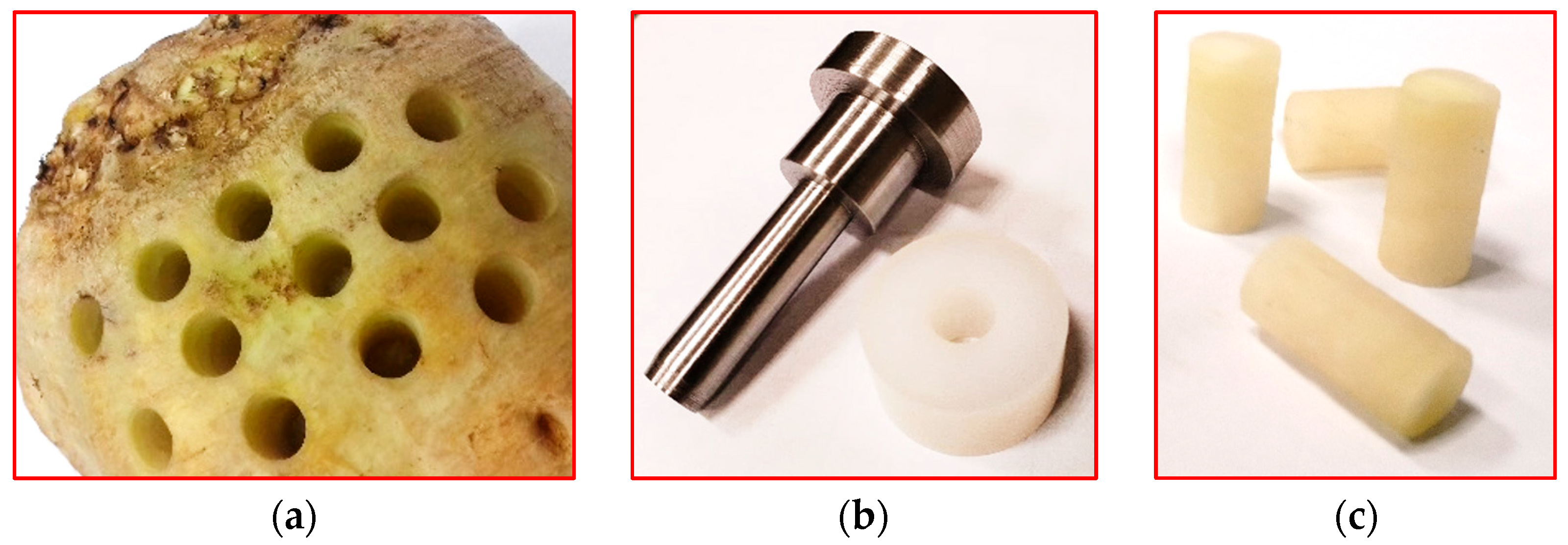 Sensors 25 03725 g001