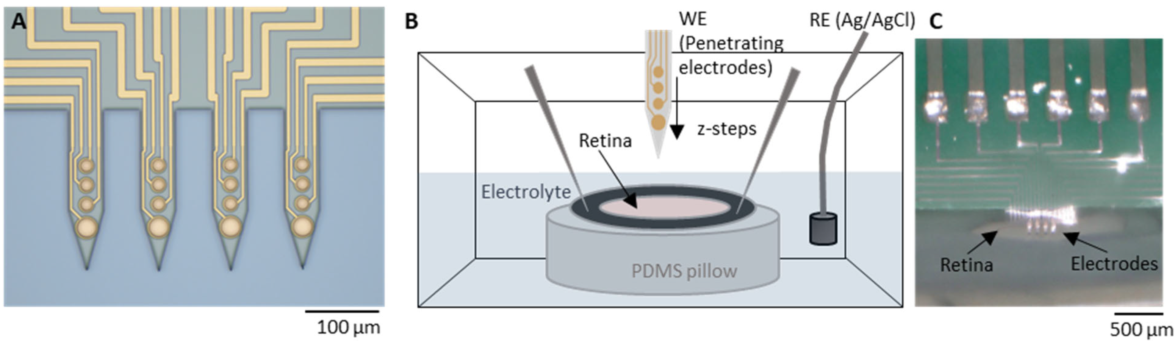 Sensors 25 03765 g001