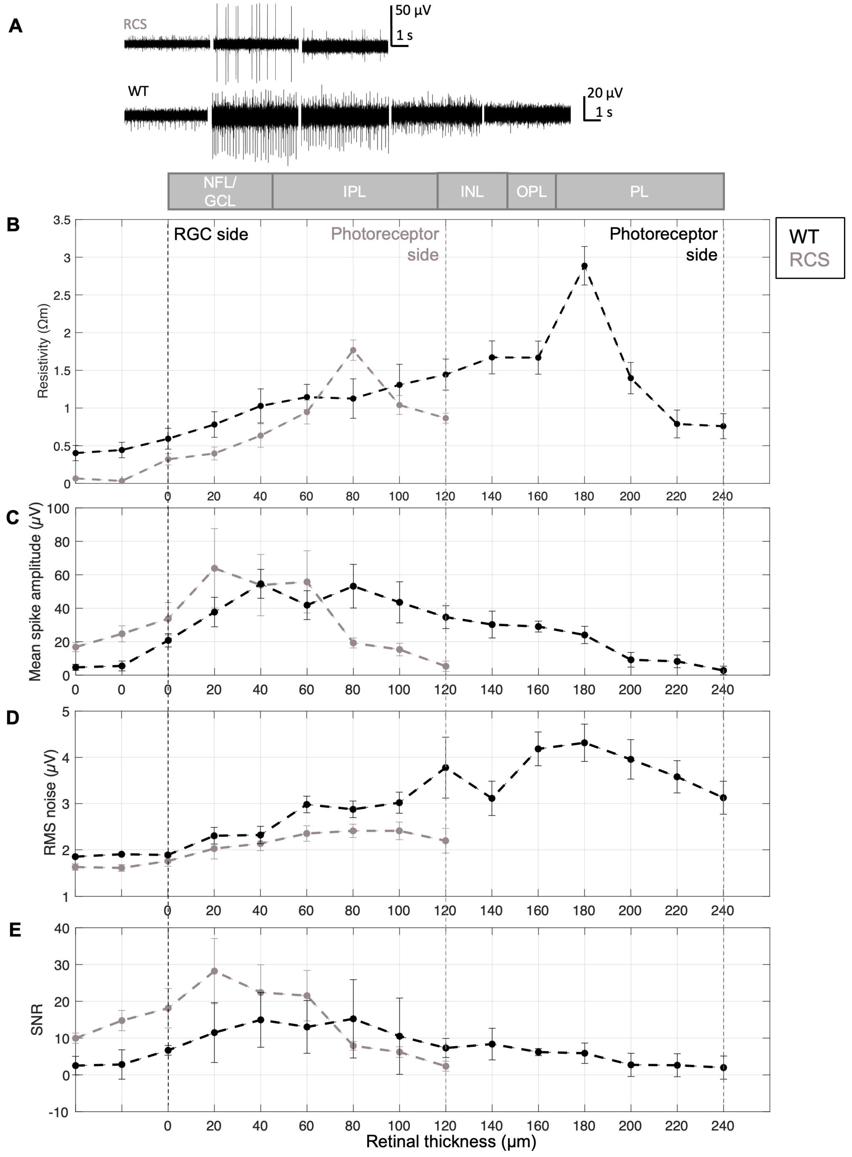 Sensors 25 03765 g004