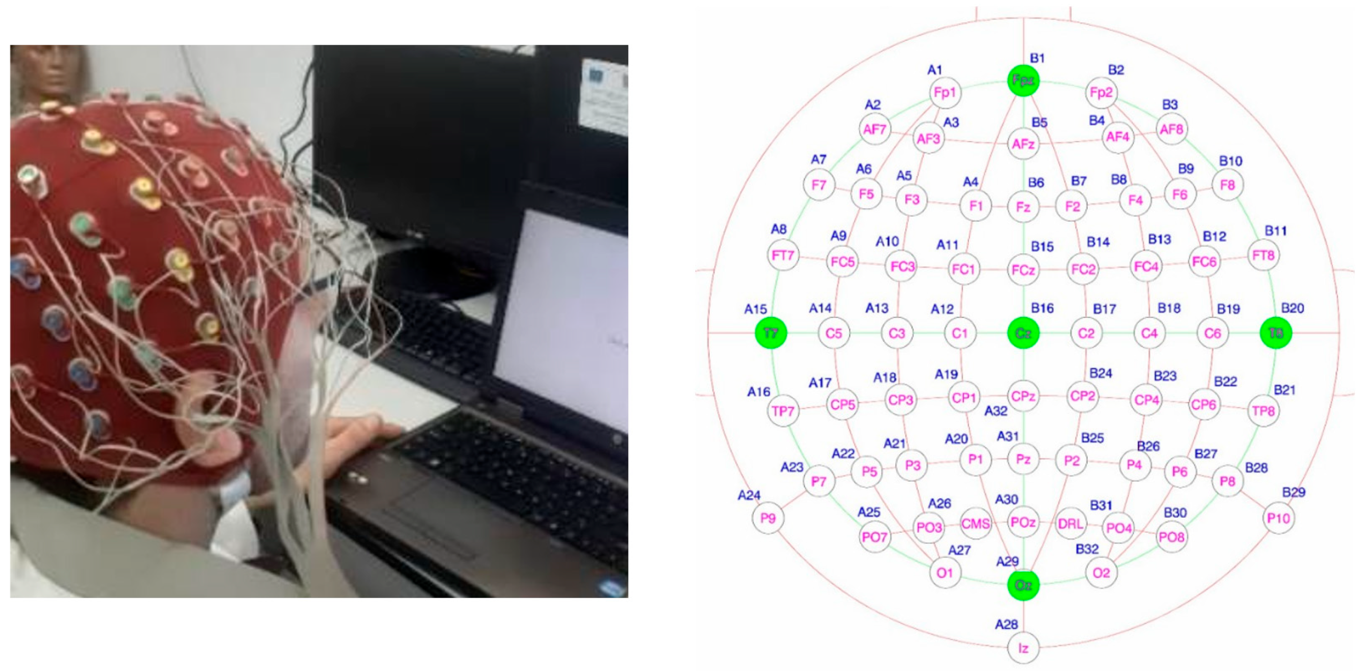 Sensors 25 03902 g002