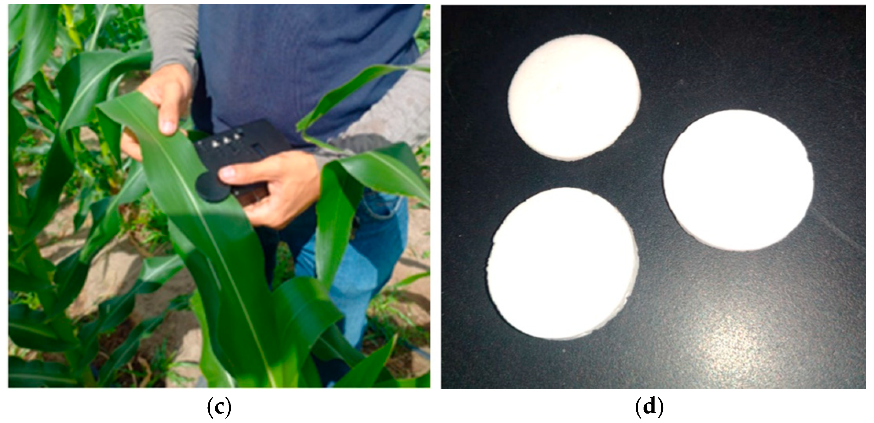 Sensors 25 03929 g004b