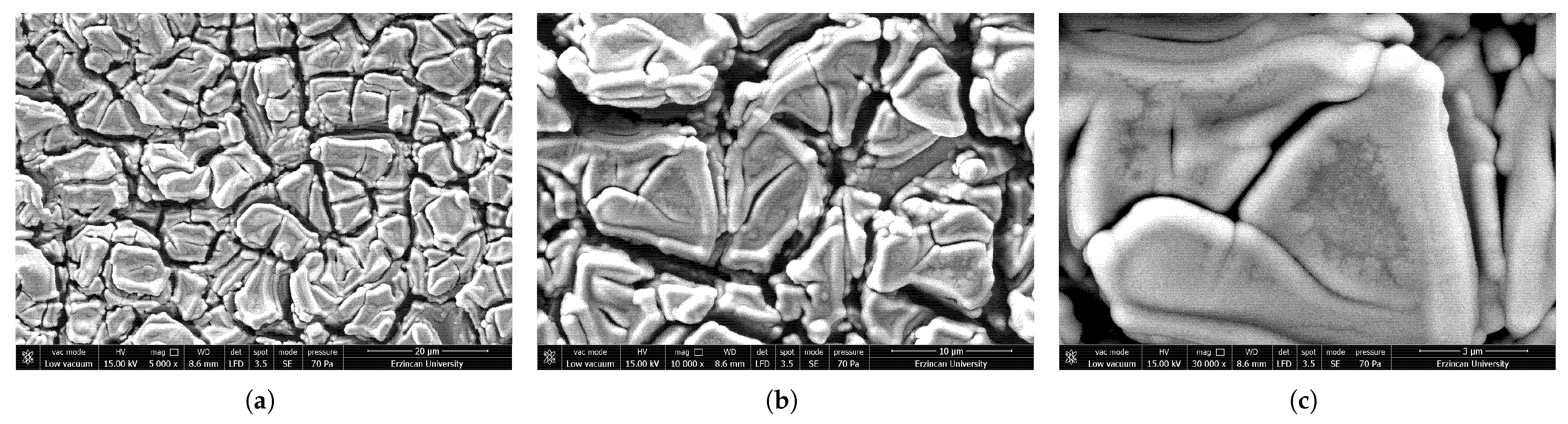Sensors 25 03938 g007
