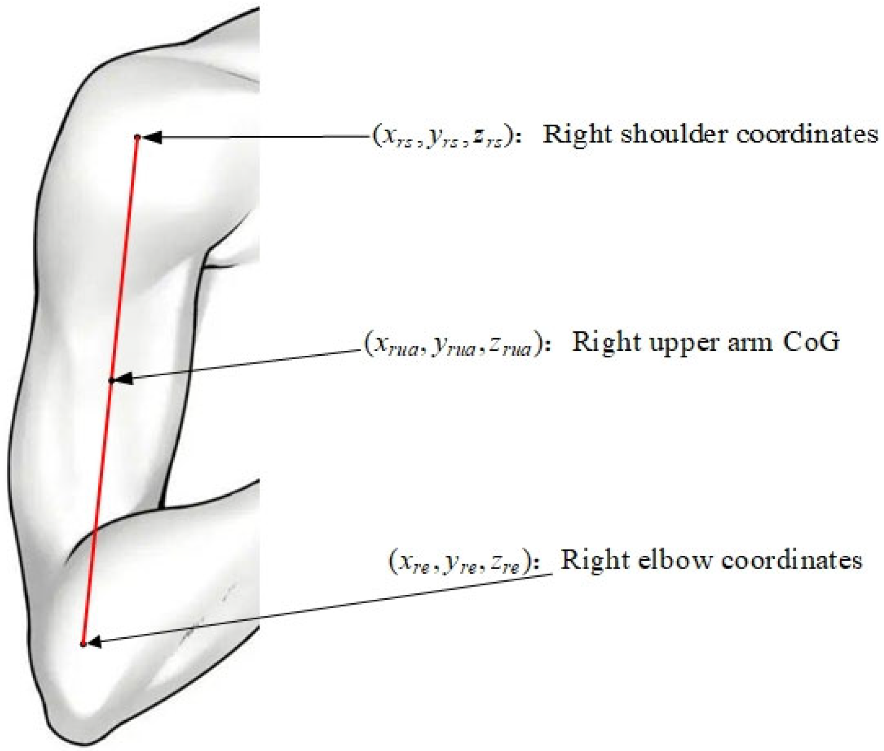 Sensors 25 03944 g005