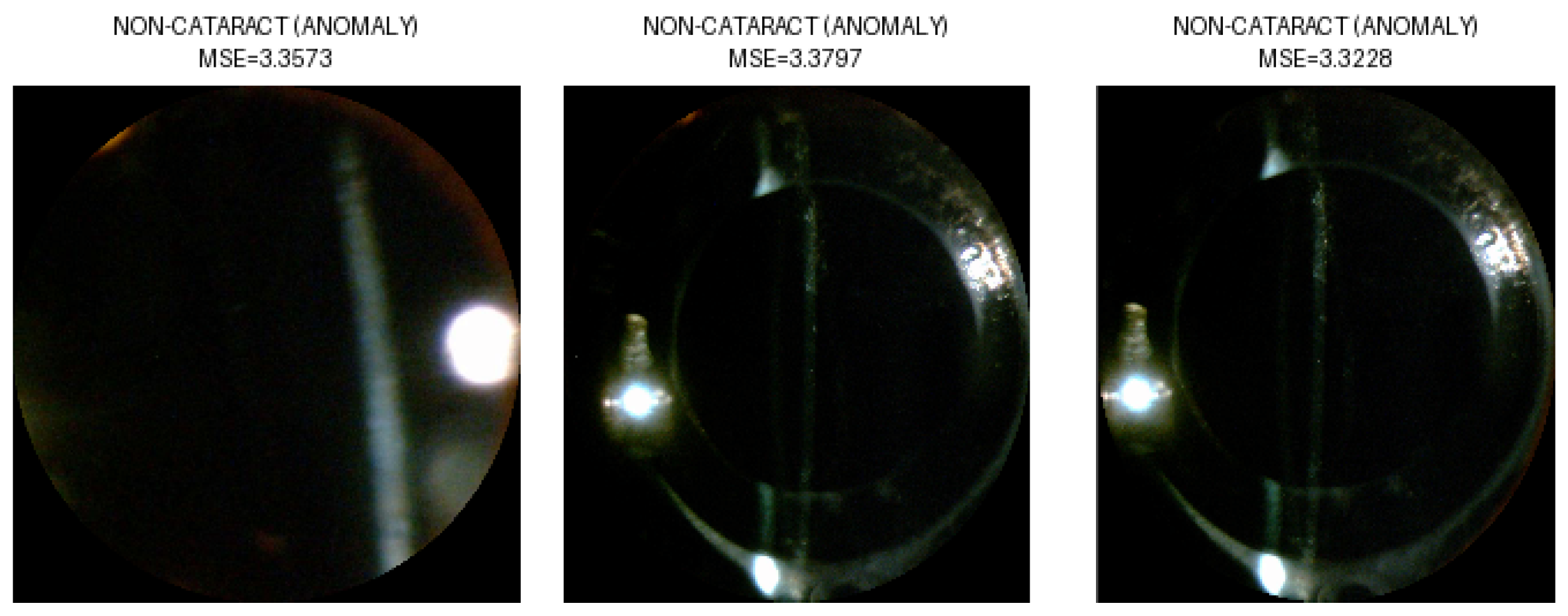 Sensors 25 03954 g007