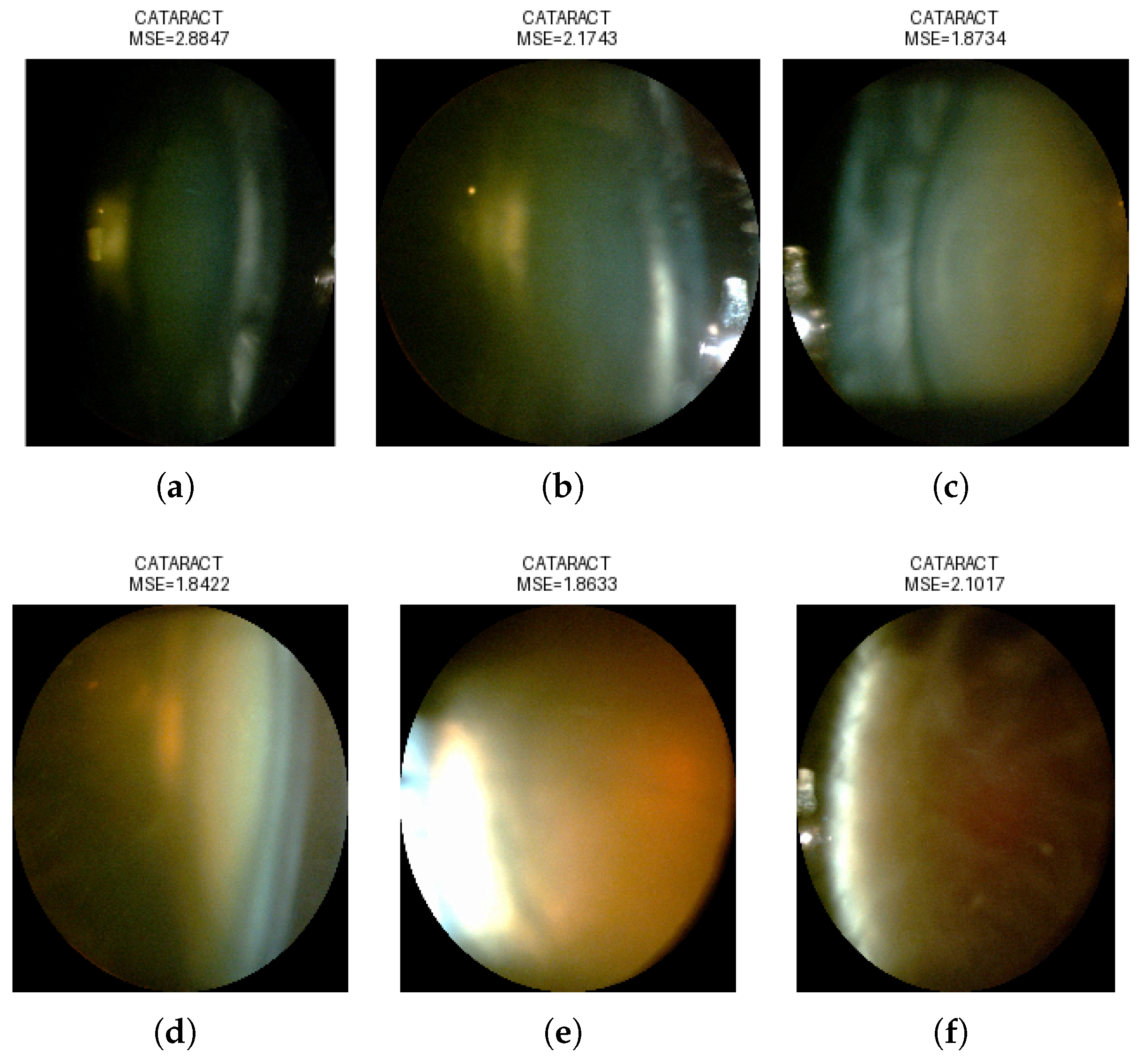 Sensors 25 03954 g008