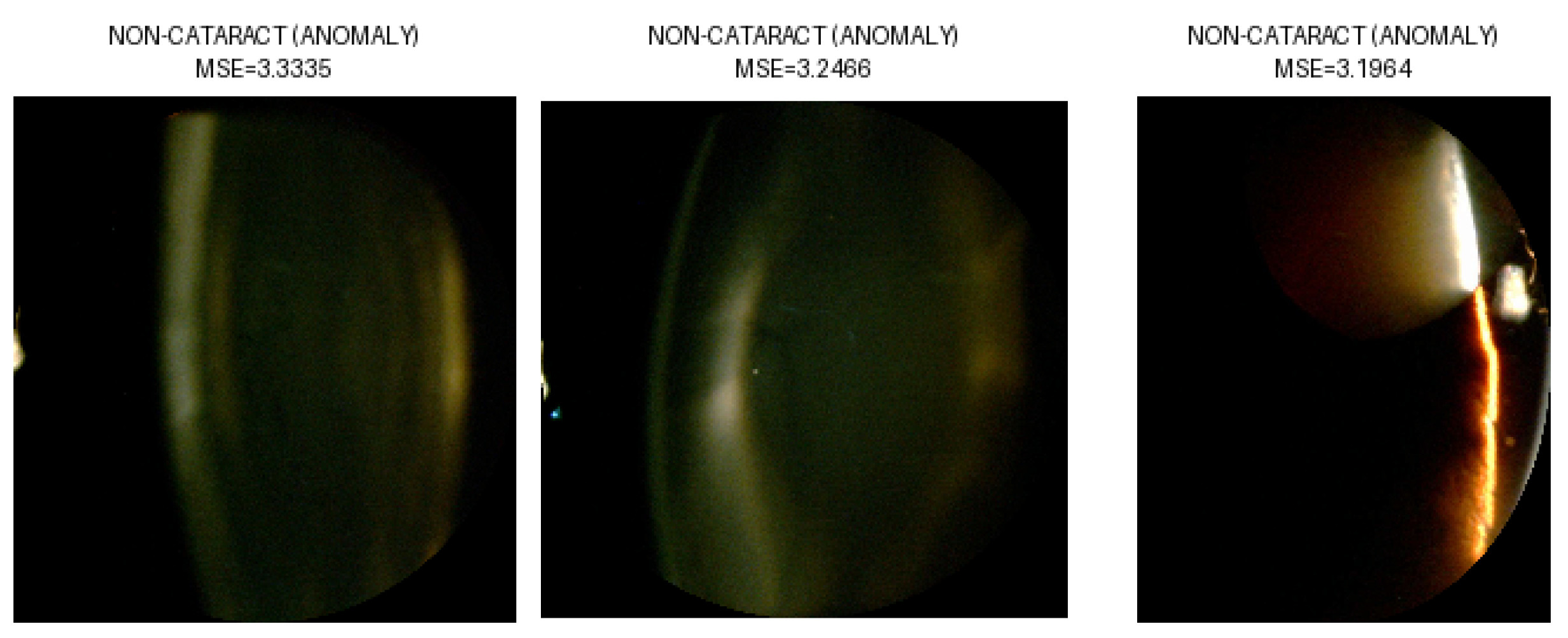Sensors 25 03954 g009